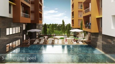 Swimming Pool Deck
